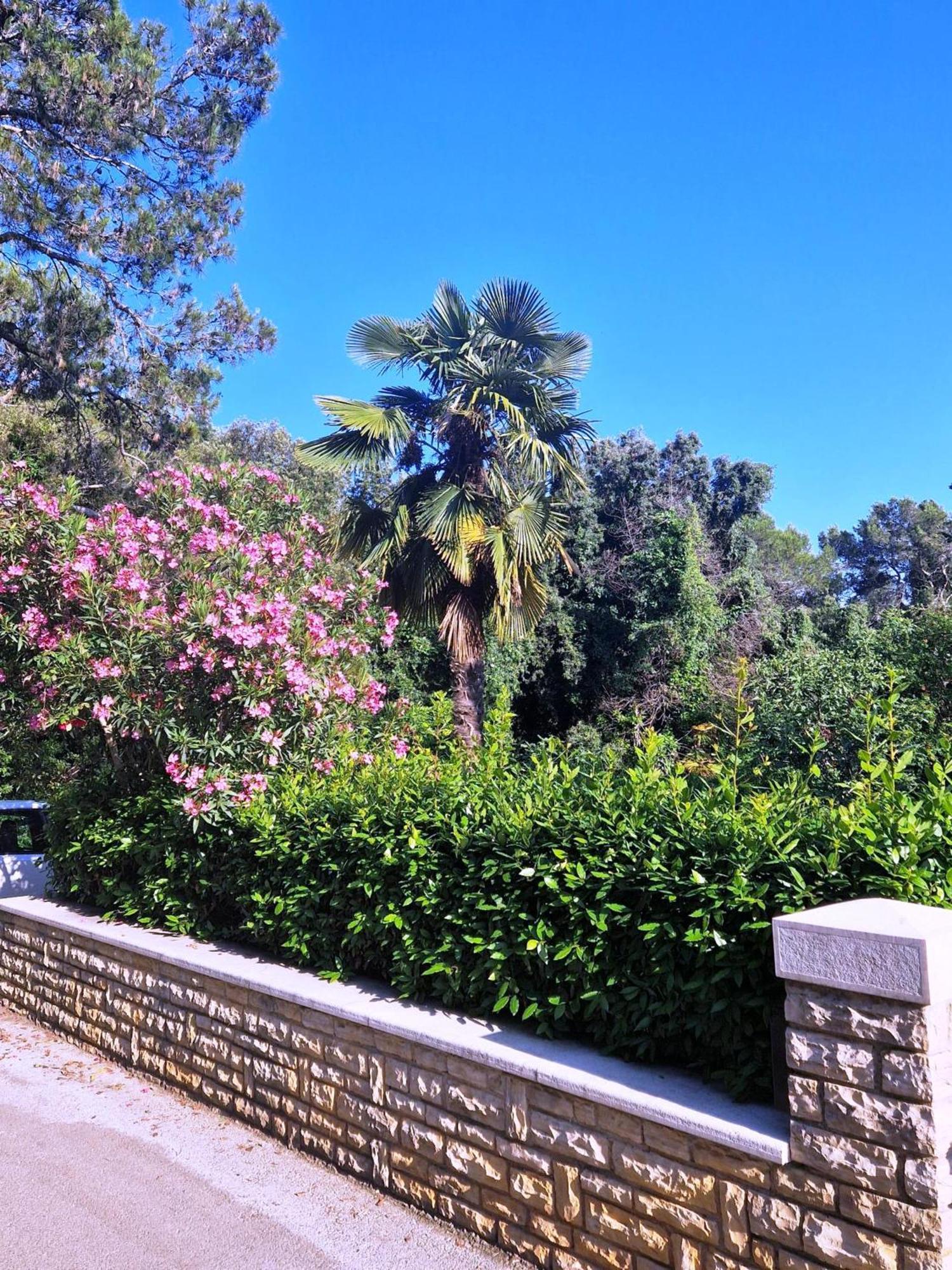 Molo View Apartment Rovinj Luaran gambar