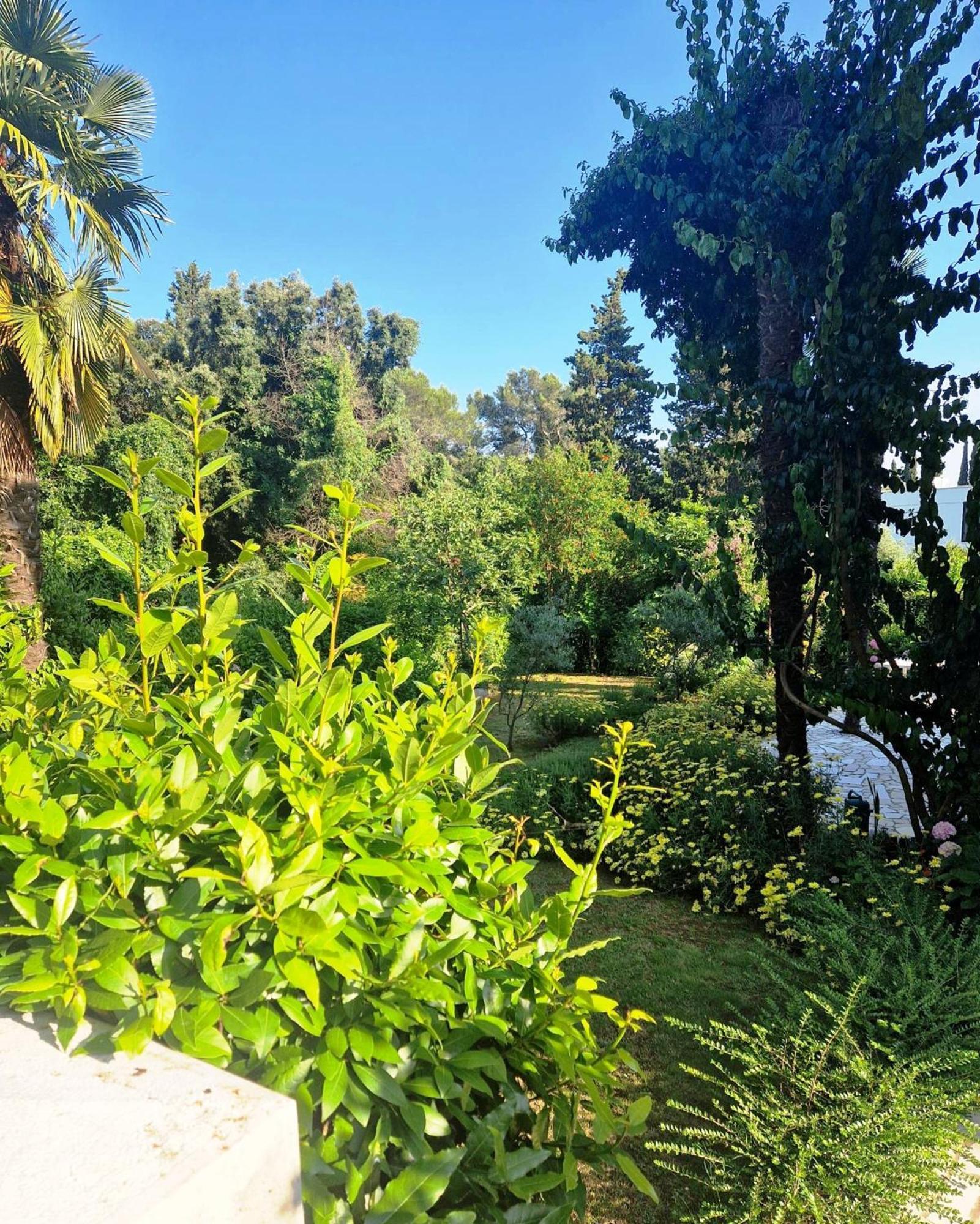 Molo View Apartment Rovinj Luaran gambar